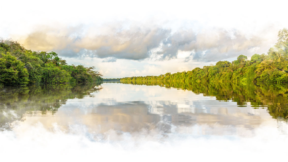 Le fleuve Amazone