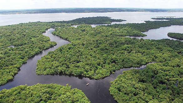 Rio Negro