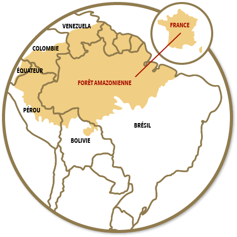 Superficie de la forêt amazonienne